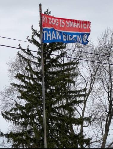 Dog Smarter then Biden