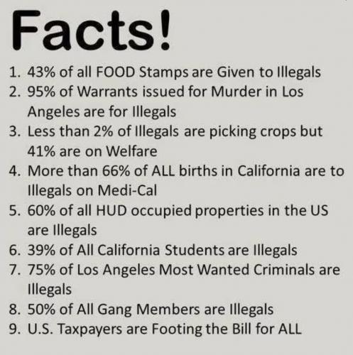 illegals special
