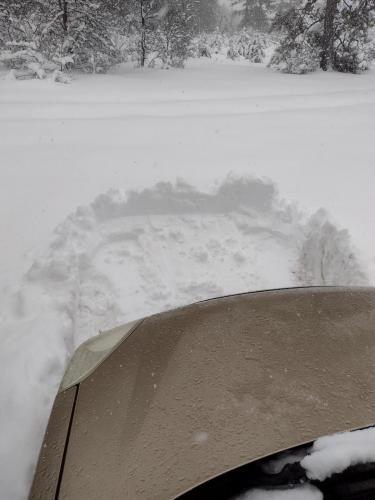 IMG_20230417_075011579