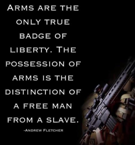 RO Arms Liberty