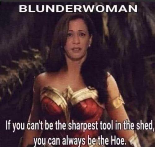USA Blunderwoman
