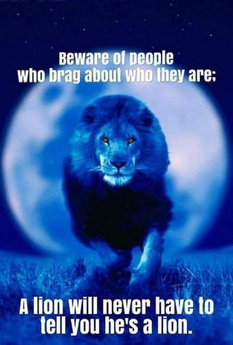 M people brag