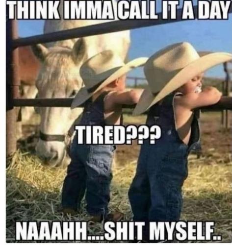 Shitmyself