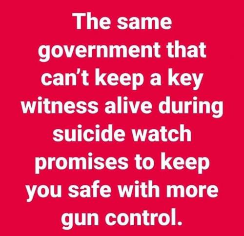 68618864_2918715594809755_2018126220956270592_n