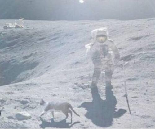 Screenshot_20230422-234340_Gallery