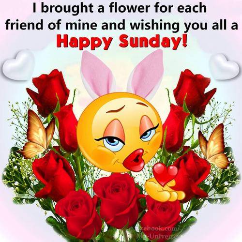 331665-I-Brought-A-Flower-For-Each-Friend-Of-Mine-And-Wishing-You-All-A-Happy-Sunday-