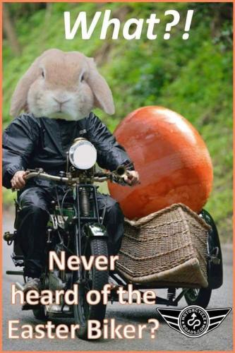 340506442_771481844279032_5619413334551584768_n