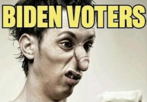 M Biden voters