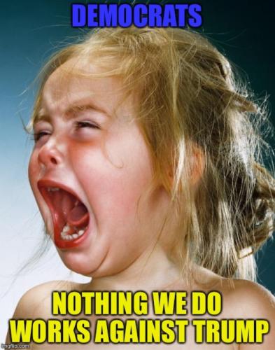RO Democrats
