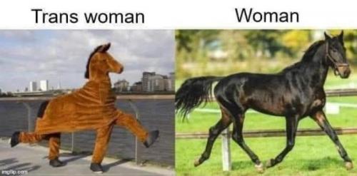 a44308e3c8d1b832