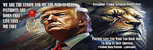 1-1-A-A-A-A_1-A-A-A-A-A-A-2020-A-A-A-A-A-A-TRUMP-MAGA-LION-TRUMP-HEADER-750X250-GTR