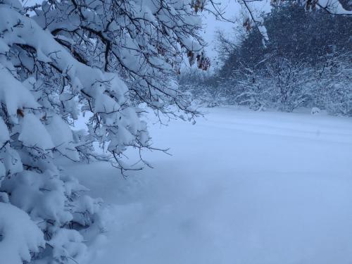 IMG_20230417_063630152