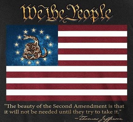 2nd Amendment - The beauty of... - We The People
