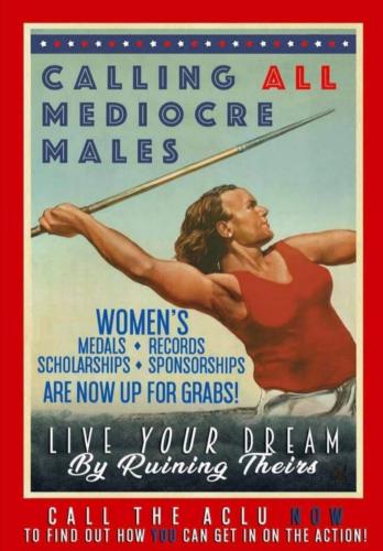 mediocre-males