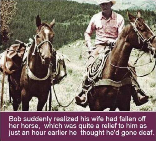 Funny - Wife fell off horse...
