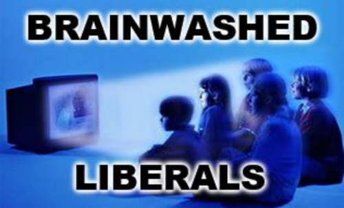 USA brainwashed libs