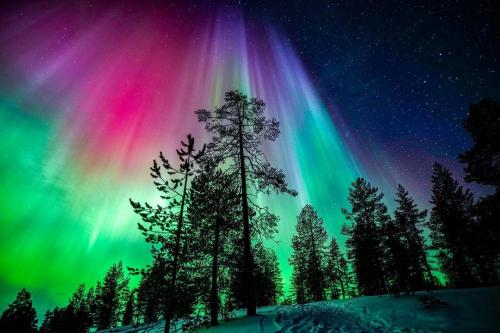 336904669_1223055485022521_1235926678962636217_n