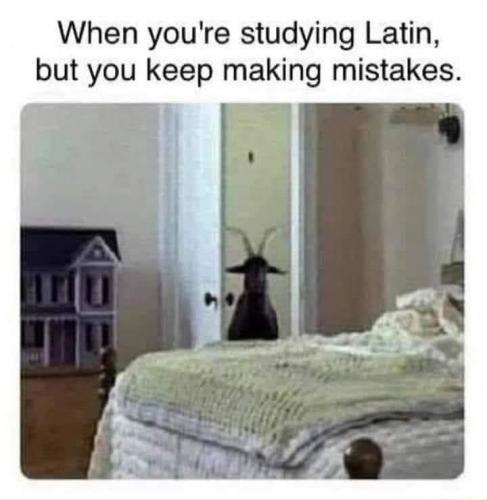 latin
