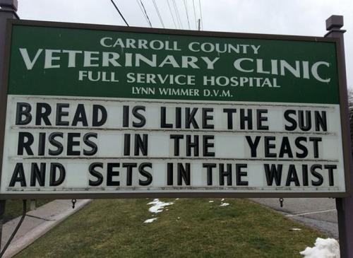 Bread is like the sun