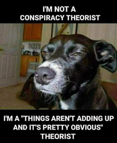 340019380_1795077967541943_3284663889355677046_n