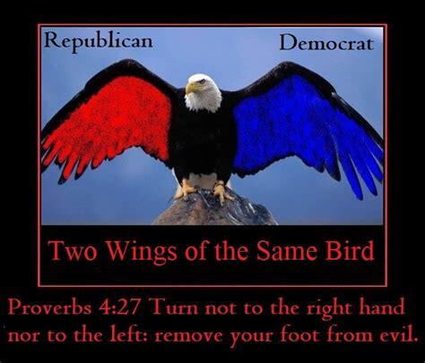 wings