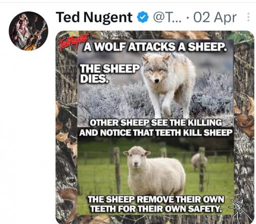 Screenshot_20230414_044128_Twitter