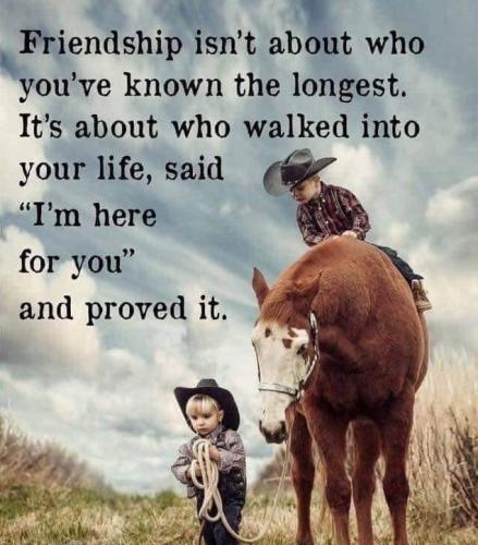 Friendship - I'm here for you