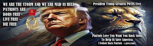 1-1-A-A-A-A_1-A-A-A-A-A-A-2020-A-A-A-A-A-A-TRUMP-MAGA-LION-TRUMP-HEADER