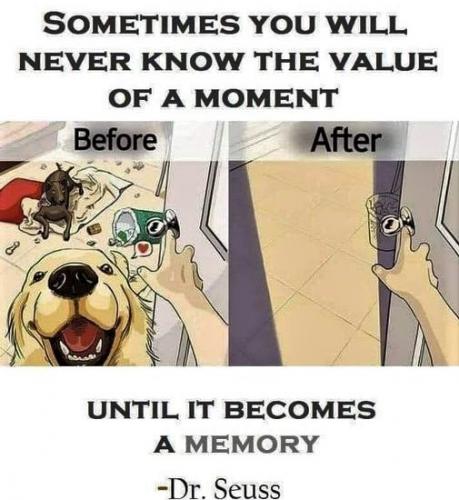 040523 - Value of a moment - Dr. Seuss