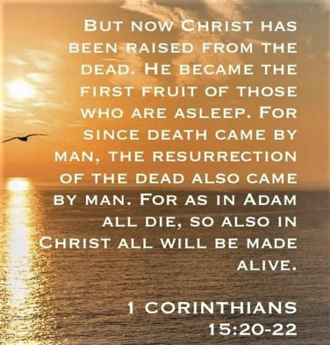 041023 - 1 Cor 15, 20-22