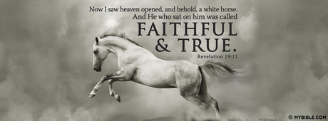 small_af0c4d2cdb74f07546bbdc25