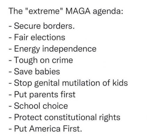 MAGA AGENDA