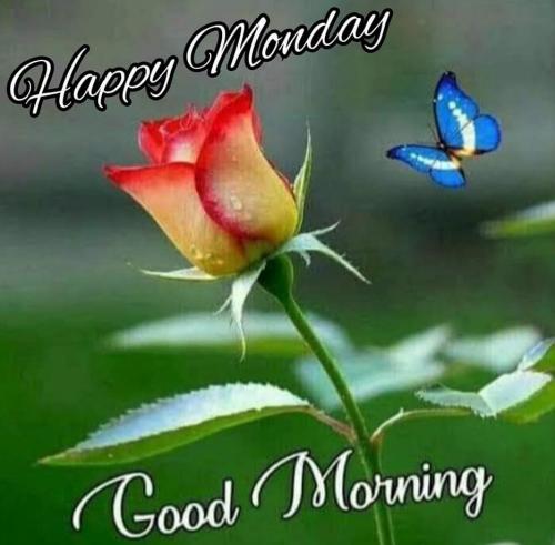 042423 - Happy Monday