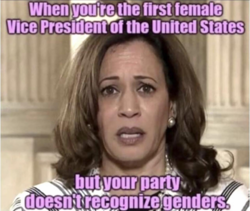 B VP