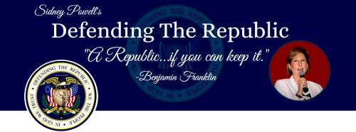 Defending the Republic (Banner)