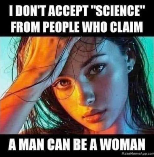 M science