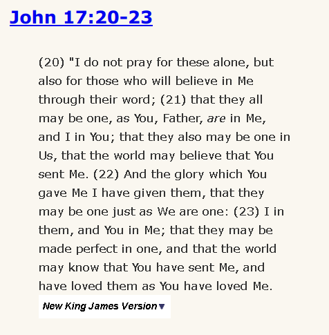 John 17:20-23
