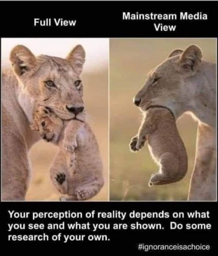 Perception