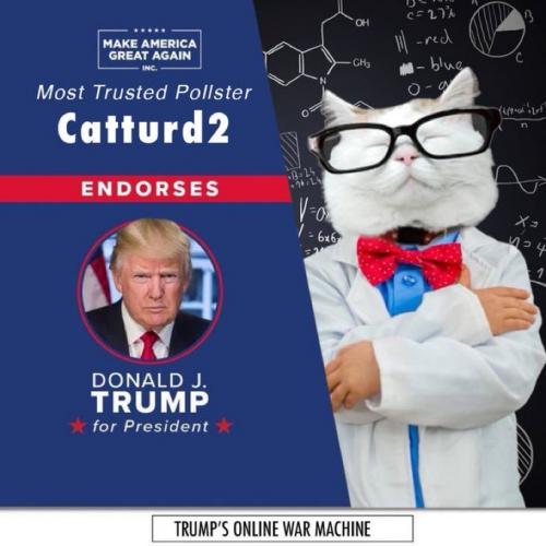 Catturd for Trump   (maga)