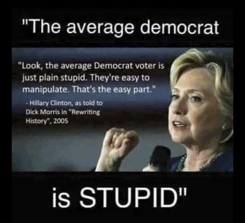USA average Democrat