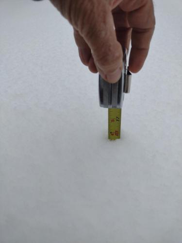 IMG_20230417_123619751