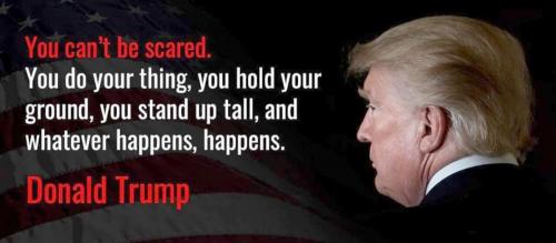 M DJT can't be scared