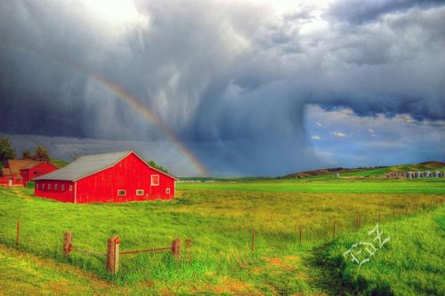 Ed Zweiacher. Hwy 26 West of Colfax, WA