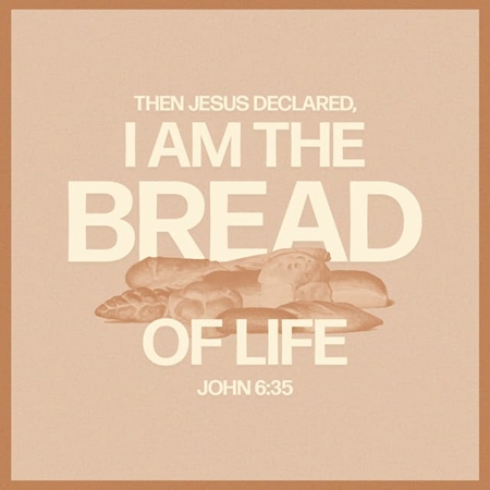 John 6