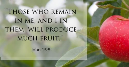 IMG_20230413_121856_516