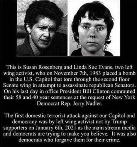 USA left wing activists