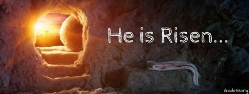 f61b6a1df6e383e41de075561a2f31f6