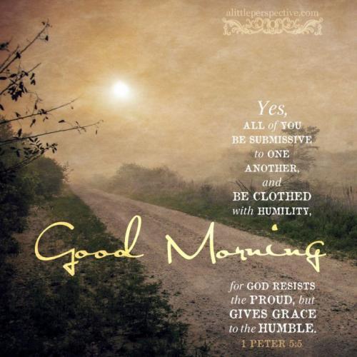 c0d831760b0333f9820d8490f0442658