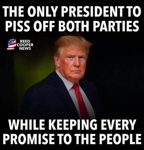 Trump - Promises