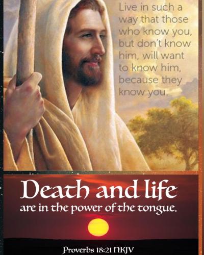 IMG_20230531_084054_310